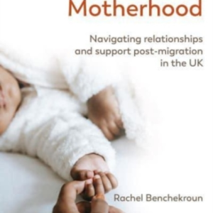 PRECARIOUS MOTHERHOODNAVIGATING RELATIONSHIPS AND SUPPORT PO