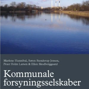 Kommunale forsyningsselskaber