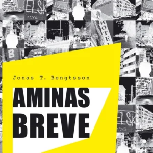 Aminas breve