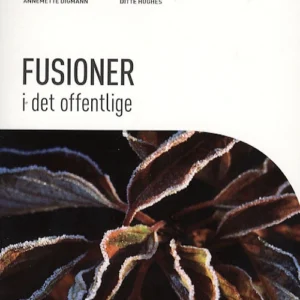 Fusioner i det offentlige