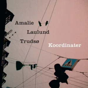 Koordinater