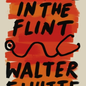 THE FIRE IN THE FLINT
