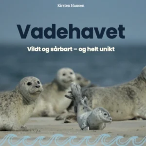 Vadehavet
