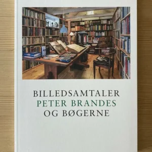Billedsamtaler. Peter Brandes og bøgerne