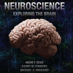 Neuroscience: Exploring The Brain