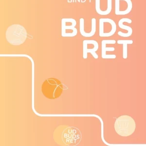Udbudsret