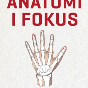 Anatomi i fokus