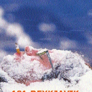 101 Reykjavik