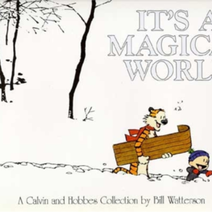 It&apos;s a Magical World
