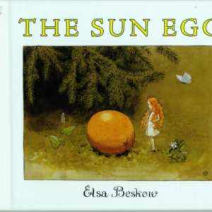 The Sun Egg