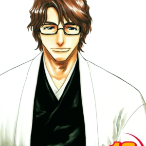 Bleach, Vol. 12