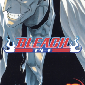 Bleach, Vol. 13