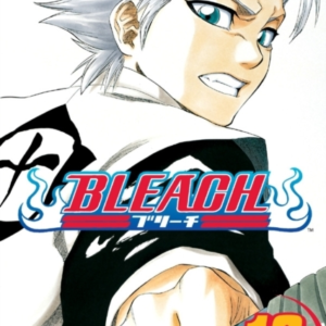 Bleach, Vol. 16