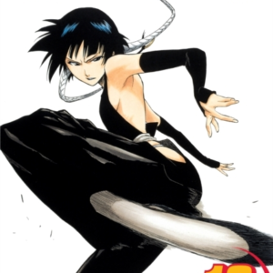Bleach, Vol. 18