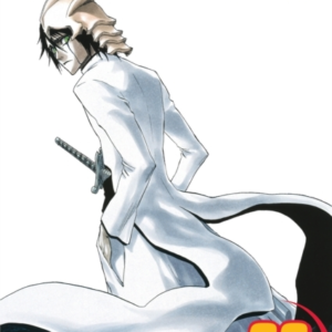 Bleach, Vol. 22