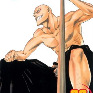 Bleach, Vol. 23