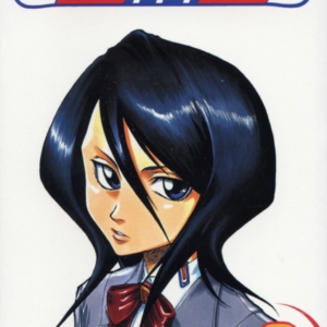 Bleach Vol. 2
