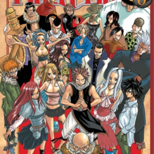 Fairy Tail 6