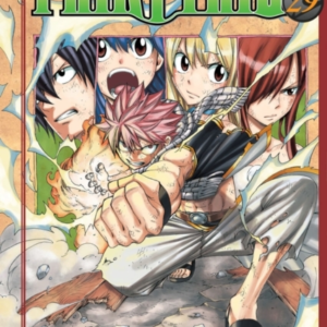 Fairy Tail 29