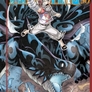 Fairy Tail 30