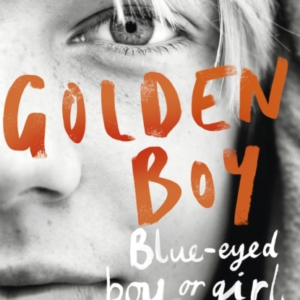 Golden Boya Compelling Brave Novel About Coming to Terms Wi