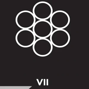 VII