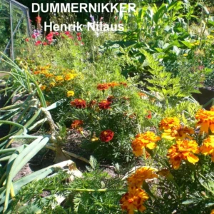 Køkkenhaver for dummernikker