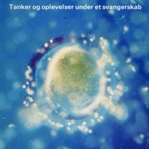 Bobler i min mave