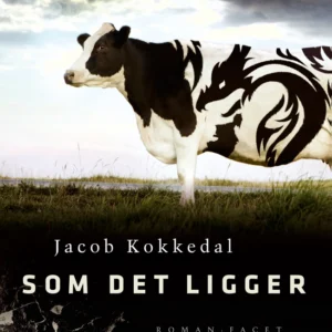 Som det ligger