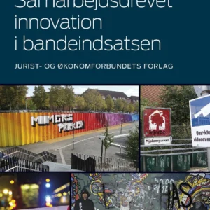 Samarbejdsdrevet innovation i bandeindsatsen