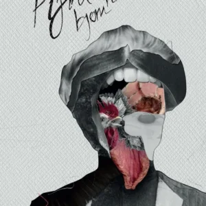 Pynt
