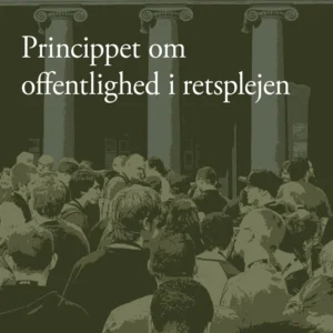 Princippet om offentlighed i retsplejen