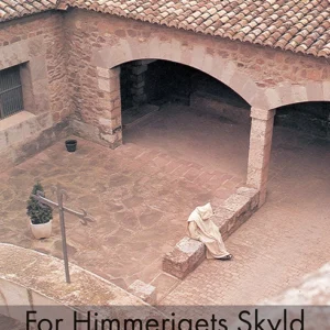 For himmerigets skyld