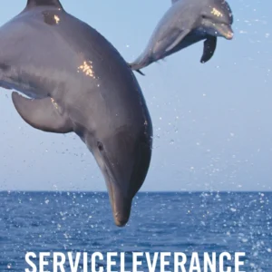 Serviceleverance