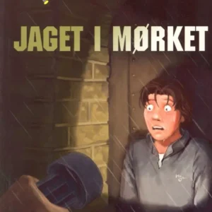Jaget i mørket