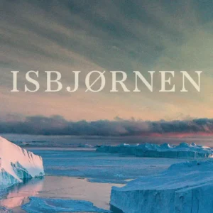 Isbjørnen