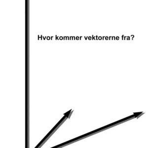 Hvor kommer vektorerne fra?