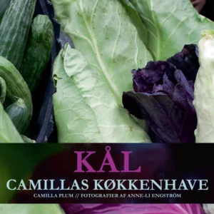 Kål