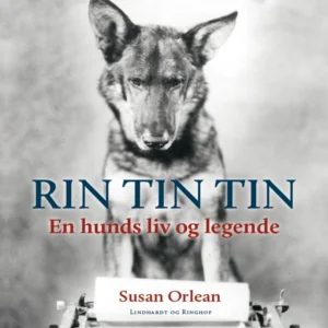 Rin Tin Tin