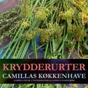 Krydderurter