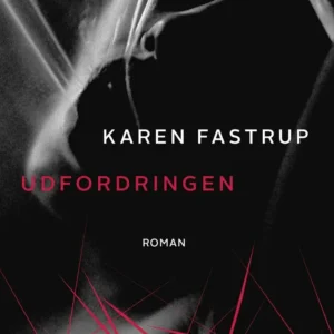 Udfordringen