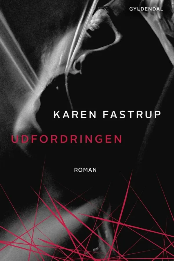 Udfordringen