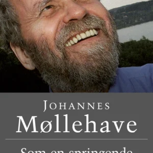 Som en springende hval