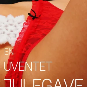 En uventet julegave