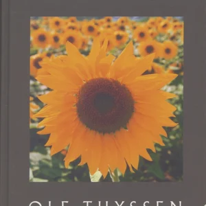 Værdiledelse