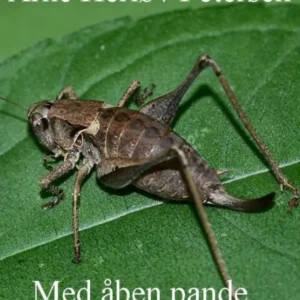 Med åben pande