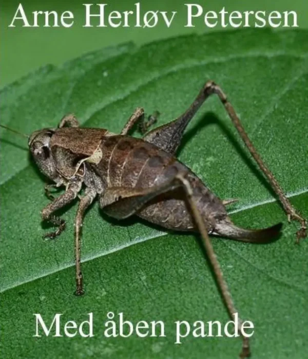 Med åben pande
