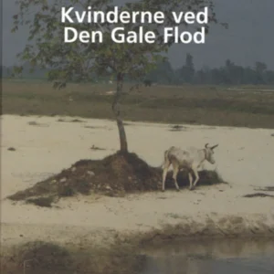 Kvinderne ved Den Gale Flod