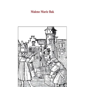 Matematik i Danmark 1500-1700