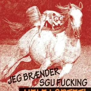 Jeg brænder sgu fucking hele lortet!